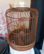 手工大型鳥籠子